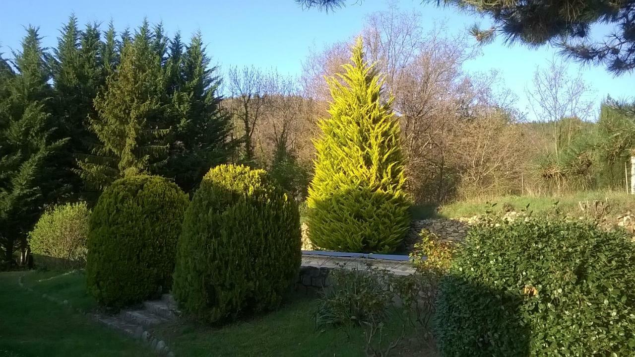 Canigou Lodge Vernet-les-Bains Exterior foto